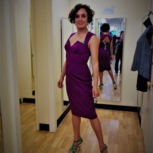 Black Halo size 4 magenta structured dress